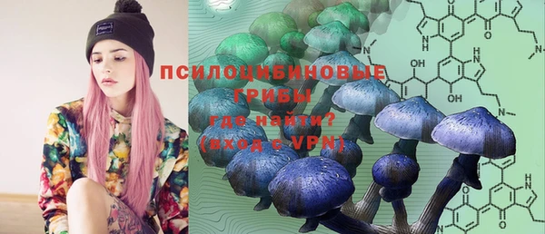 apvp Алексеевка