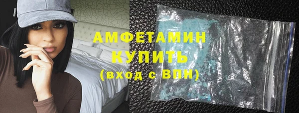 гидра Михайловка